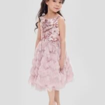 Ասեղնագործ տոնական զգեստ