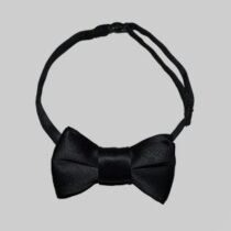 Галстук-бабочка