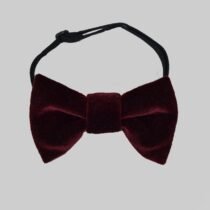 Галстук-бабочка