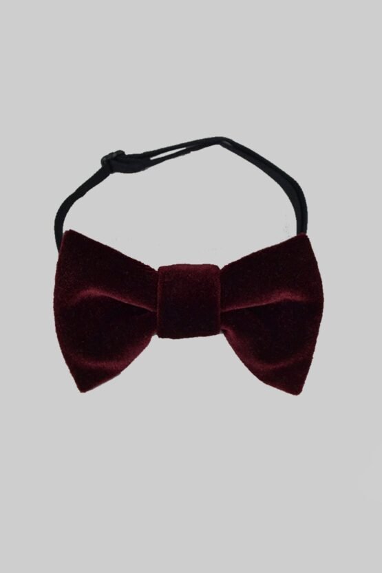 Галстук-бабочка